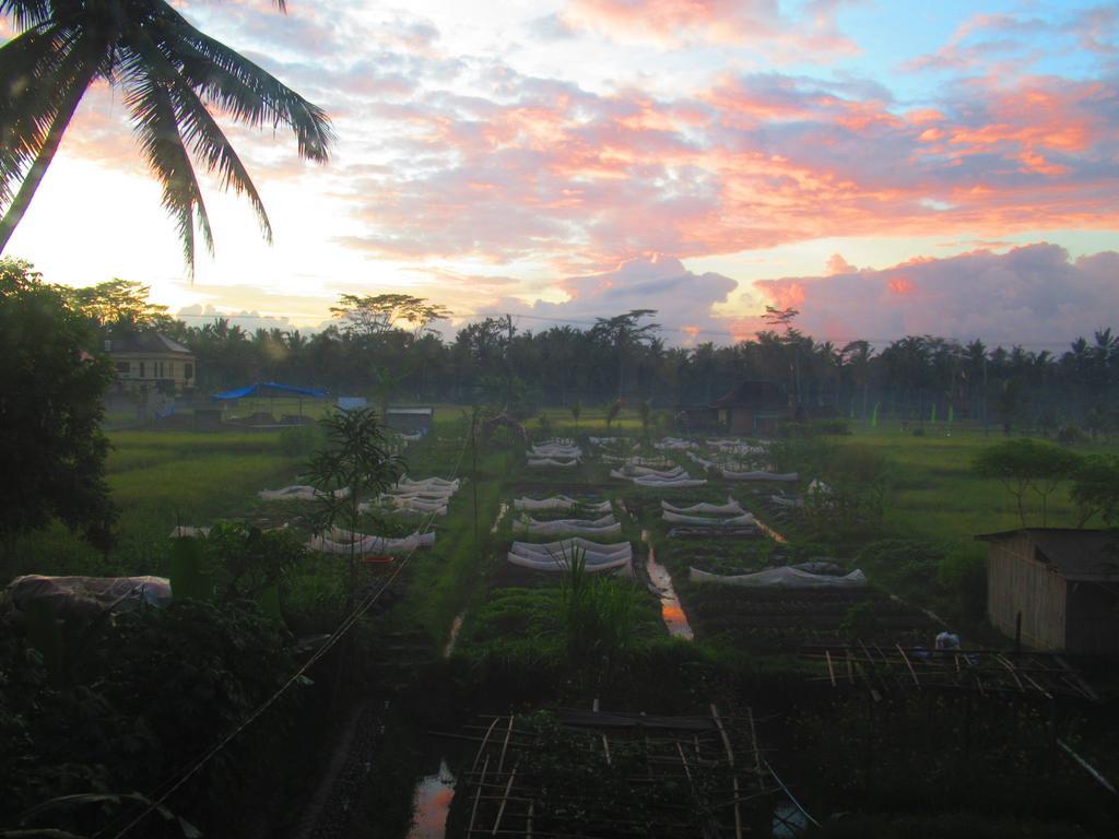 Hars Garden Tree Houses Ubud